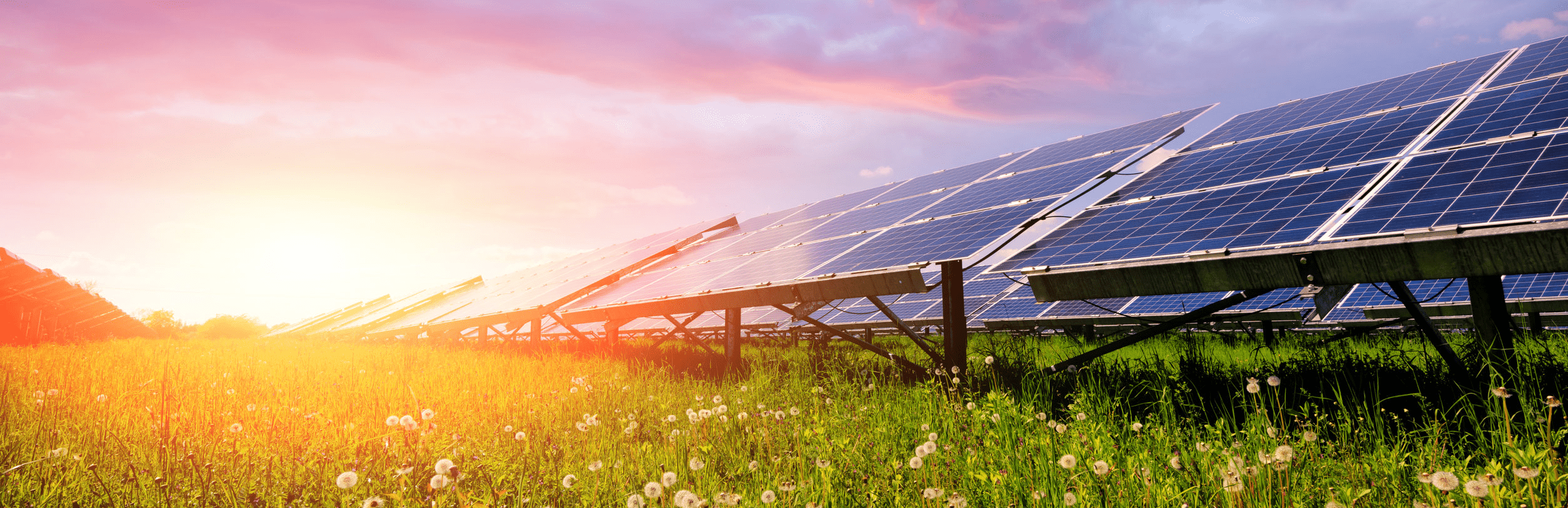 Solar panels at sunset